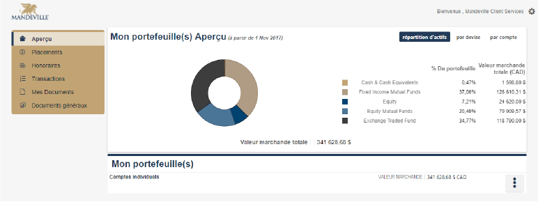 My Portoflio(s) Overview Example